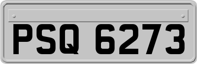 PSQ6273