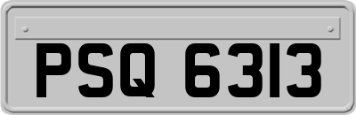 PSQ6313