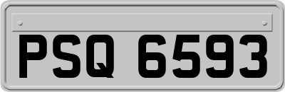 PSQ6593