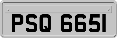 PSQ6651