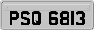 PSQ6813