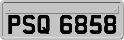 PSQ6858