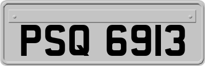 PSQ6913