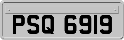 PSQ6919