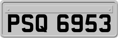PSQ6953