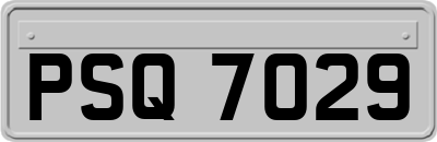 PSQ7029