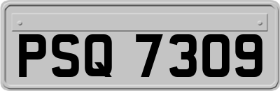 PSQ7309