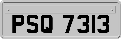 PSQ7313