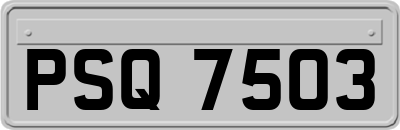 PSQ7503