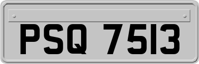 PSQ7513