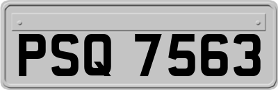 PSQ7563
