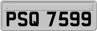 PSQ7599