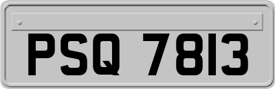 PSQ7813