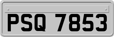 PSQ7853