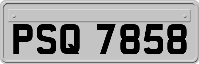 PSQ7858