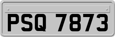 PSQ7873