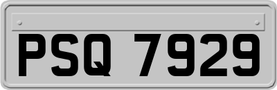 PSQ7929