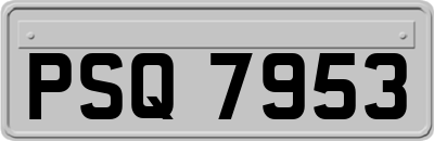 PSQ7953