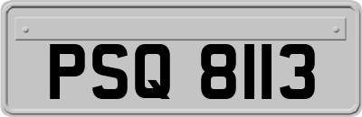 PSQ8113