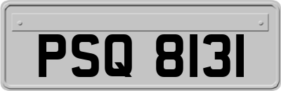 PSQ8131