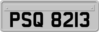 PSQ8213