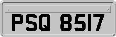PSQ8517