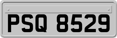 PSQ8529