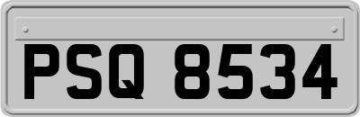 PSQ8534