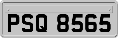 PSQ8565