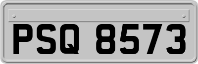 PSQ8573