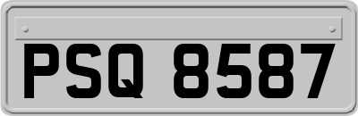 PSQ8587