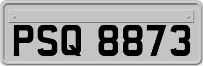PSQ8873