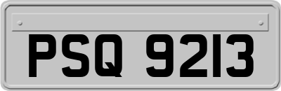 PSQ9213