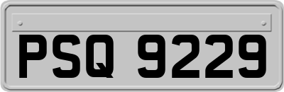 PSQ9229