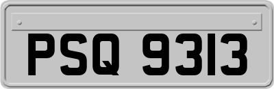 PSQ9313