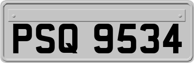 PSQ9534