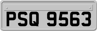 PSQ9563