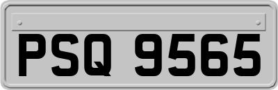 PSQ9565