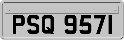 PSQ9571