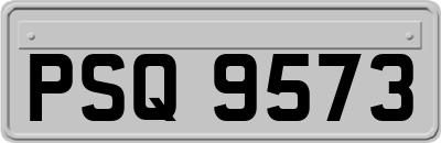 PSQ9573