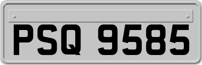 PSQ9585