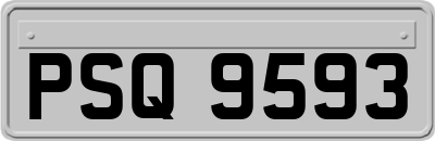PSQ9593