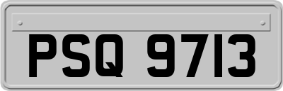PSQ9713