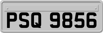 PSQ9856