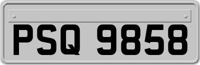 PSQ9858