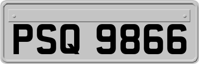 PSQ9866