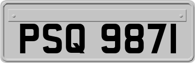 PSQ9871