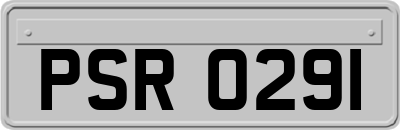 PSR0291