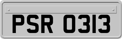 PSR0313
