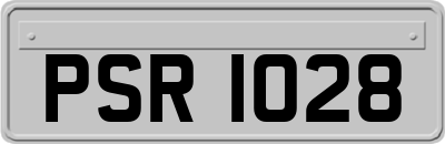 PSR1028